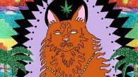 Archive photograph for Wavves Album Haiku