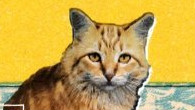 Archive photograph for Crazy for You by Best Coast Album Haiku Review