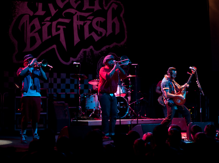 Archive photograph for Suburban Legend and Reel Big Fish